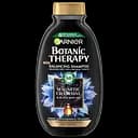 Балансуючий шампунь Garnier Botanic Therapy Магнетичне вугілля, 250 мл