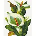 Набор для росписи ArtCraft Белые каллы 40 x 50 см (13128-AC)