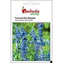 Насіння квітів Садиба Центр Сальвія Блу Беддер синя 0.5 г (000007163)