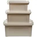 Набор контейнеров для хранения Stars Plast 3шт. бежевый (94189/беж)