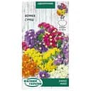 Кермек (статица) Семена Украины смесь 0,2 г 