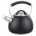 Чайник Ofenbach 2.5 л из нержавеющей стали со свистком и ручкой soft touch черный (OF-100311)