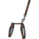 Шлея для кошек и собак мелких пород BronzeDog Urban Art Гравитация с поводком XS 18-27 см