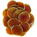 Лакомство для собак TatraPet Baff чипсы из сыромятной кожи и мяса курицы 6 см 10-13 г 20 шт.