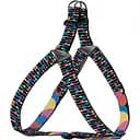 Шлея для собак BronzeDog Urban Art Пузыри M 45-56 см