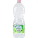 Вода минеральная San Benedetto Ecogreen негазированная 1 л