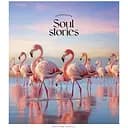 Тетрадь общая Pastel palette Школярик 048-3329K-1 в клетку 48 листов