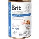 Влажный корм Brit GF VetDiet Recovery для собак и кошек в период выздоровления с лососем 400 г