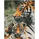 Алмазная мозаика Ideyka Полосатая семейка AMO7201 40х50 см