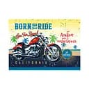 Альбом для малювання на спіралі Апельсин АП-0307, ​​36 аркушів Вид 1