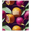 Тетрадь общая The sweet strange Школярик 096-3239K-1 в клетку 96 листов