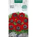 Насіння Адоніс літній Насіння України 1 г (766400)