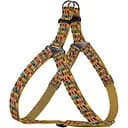 Шлея для собак BronzeDog Urban Art Алекса S 40-53 см