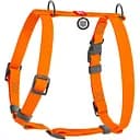 Шлея для собак Waudog Waterproof анатомічна Н-подібна з QR паспортом XL 60-98 см помаранчева