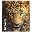 Зошит загальний Animal palette Школярик 060-3245K-3 в клітинку 60 аркушів