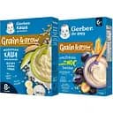 Набор: безмолочная каша Gerber овсяно-пшеничная с черносливом 200 г + молочная каша Gerber Мультизлаковая с йогуртом, бананом и грушей 240 г