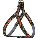 Шлея для собак BronzeDog Urban Art Гравитация M 45-56 см