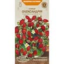 Насіння суниці Насіння України Олександрія 0.1 г (660000)