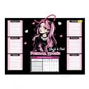 Ламинированное расписание уроков АП-0802-8 А3