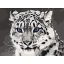 Картина по номерам Синеглазый ирбис 40х50 см 11609-AC