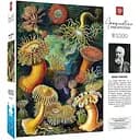 Пазл классический GoodLoot Imagination: Ernst Haeckel: Sea Anemones 1000 элементов (5908305244943)