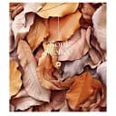 Зошит загальний Школярик Silence 096-3358L-4 у лінію 96 аркушів