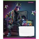 Зошит учнівський Школярик Dance star 018-3276K-5 в клітинку 18 аркушів