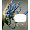 Зошит учнівський Secret garden Школярик 024-3233K-1 в клітинку на 24 аркуші