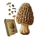 Деревянный пазл Сморж, А3, Картонная коробка 200 элементов