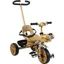 Триколісний велосипед Best Trike BS-70619 з батьківською ручкою та озвучуванням коричневий