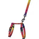 Шлея для кошек и собак мелких пород BronzeDog Urban Art Градиент с поводком XXS 15-23 см