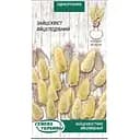 Насіння Зайцехвіст Насіння України Яйцеподібний 0.2 г (784100)