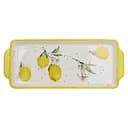 Блюдо BonaDI Сочные лимоны прямоугольное керамическое 31.5х12.5х2.5см бело-желтый (DM001-LM)      