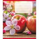 Тетрадь ученическая Фрукты 036-580143L-2 в линию, 36 листов