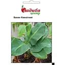 Банан кімнатний Садиба Центр 3 шт. (000003479)