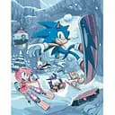 Картина за номерами Art Craft Пригоди Соніка 40х50 см (16123-AC)