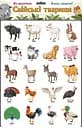 Игры на магнитах Домашние животные