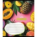 Зошит учнівський "Фруктовий сет" 018-530414K-1 в клітинку, 18 аркушів