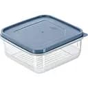 Контейнер для хранения продуктов Freshlife квадратный с крышкой 1 л (D-378)