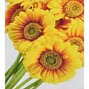 Алмазна мозаїка Сонячні квіти HEG88145 30х40 см