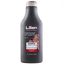 Шампунь мужской Lilien Caffeine, против перхоти, 350 мл (864878)