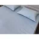 Простирадло Ecotton Pearl Blue на резинці сатин 160х200 см блакитне (24795)