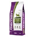 Сухой корм Gemon Cat Sterilised, для стерилизованных кошек, с индейкой, 10 кг