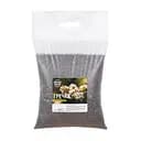 Насіння медонаса Гречка Насіння трав 1кг