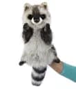 М'яка іграшка на руку Hansa Puppet Єнот, 50 см, (7552)