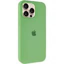 Чохол Epik Silicone Case Full Protective AA для Apple iPhone 13 Pro Max 6.7 М'ятний/Mint