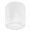 Світлодіодний світильник Horoz Electric Frezya-R накладний , білий