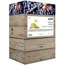 Вино столове Picnic Мускат лагідний напівсолодке біле 9-12% 10 л