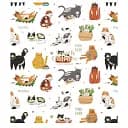 Тетрадь общая Школярик Young Culture 080-3152K-5 в клеточку 80 листов