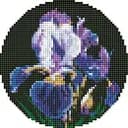 Алмазна мозаїка Ideyka на круглому підрамнику Ніжні іриси AM-R7924 d19см